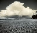 Birch Bay pinhole #3