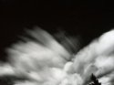 Explosion, pinhole