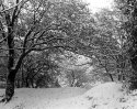 Ryde in Snow