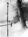 Ryde in Snow