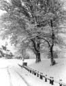Ryde in Snow