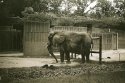 A day at the zoo