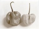 2 Chillis