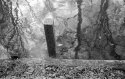 Black Creek