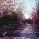 Snowy path in the morning