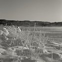 Frost