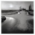 Winter in the polder