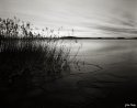 Icing Sea, Ruissalo