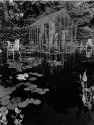 Festival des jardins