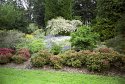 Washington Park Azalea walk