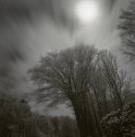 Full moon