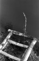 Sticks 3