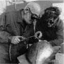 Welding the Delta piaf's head