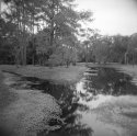 stream