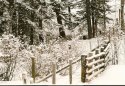 Along the trail