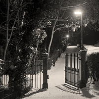 Alexander Park by night
