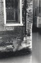 La Serenissima