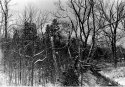 Winter creek