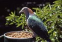 Final Kodachrome 64 Shots