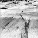 Perspectives in sand