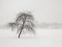 Another weekend, another blizzard.