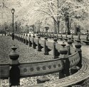 The Mall, Central Park, NYC