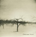 winter tree 2