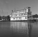 Newport Belle