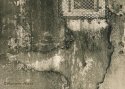 kalkaska texture 1