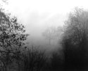 A Misty Day