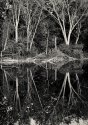 Rogue River Relfections