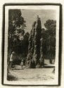 Termite mound - Litchfield National Park, NT Australia