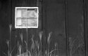 window ...
