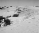 Monahans Sandhills