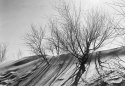 Monahans Sandhills