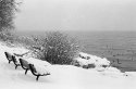 Winter Benches