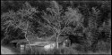 A cottage