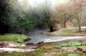 Lizard Creek, early Autumn