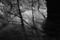 Eaton Canyon