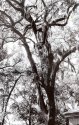 scan0001 161216
