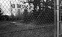 First shots:  Yashica TL Electro X