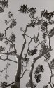 Carlsbad Tree #2