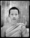 Young Monk, 2010