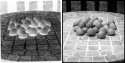 Paper Negative