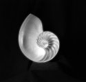 Sacred Geometry