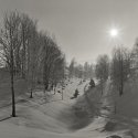 Tracks in the snow