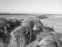 North Jetty Coquille River