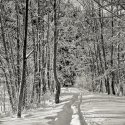 Retracing my tracks
