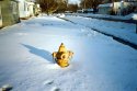 Hydrant