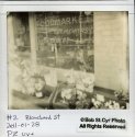 Polaroid Flowers